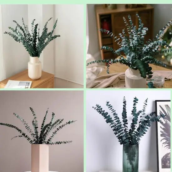 10 Pack Natural Dried Eucalyptus Bundle,17 inch/45cm Preserved Fresh Eucalyptus Branches Greenery Plants {5}