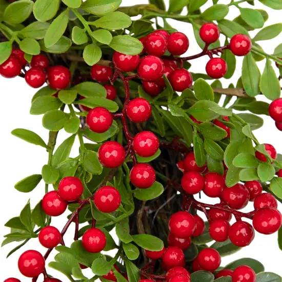 Northlight Berry and Boxwood Artificial Christmas Wreath - 18" - Unlit Green {5}