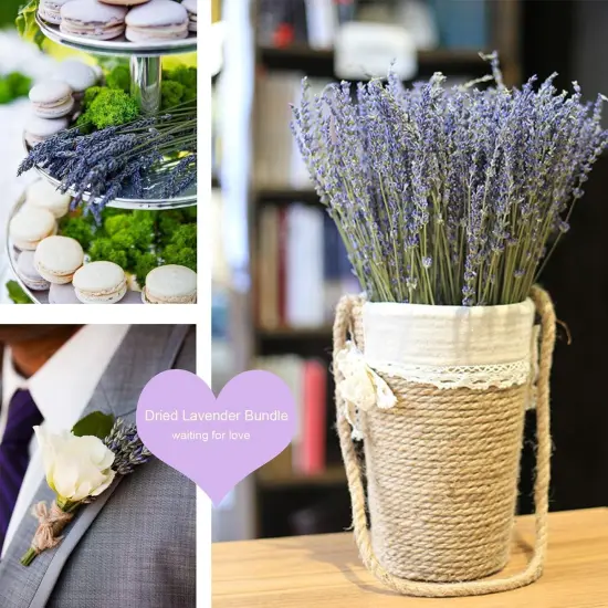 Dried Lavender Bundles Lavender Bunches Dry Lavender Flowers for Home Decor, Crafts, Wedding Bouquets {4}