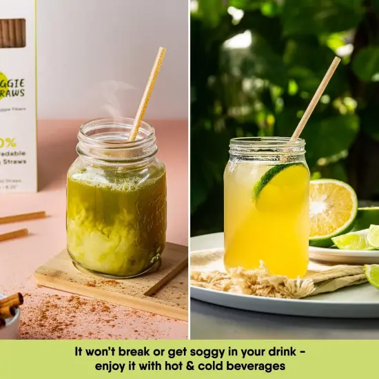 100 PCS of 8.25 Inches Unwrapped Biodegradable Straws &ndash; Made of Vegetable Fibers, Best Environment Friendly Drinking Straws for Hot and Cold Beverages {5}