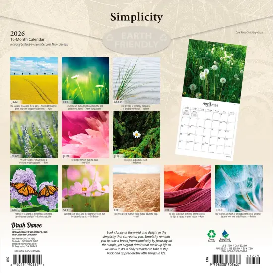 Simplicity | 2026 12 x 24 Inch (Hanging) Monthly Square Wall Calendar | Plastic-Free {2}