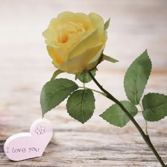 20" Yellow Rose Bud Stem - 48-Pack, Realistic Silk Foliage, Lifelike Blooms, Perfect for Floral Arrangements, Events & Home D&eacute;cor - Ideal for All Seasons, Floral Home by Artificial Flowers {5}