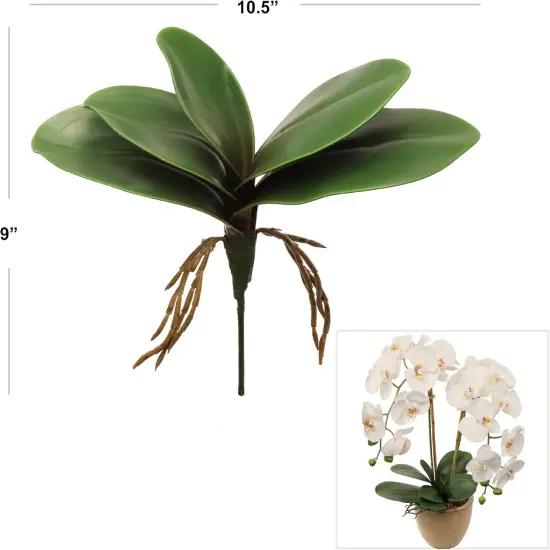 12-Pack: 11" Phalaenopsis Orchid Foliage Cluster Pick by Floral Home&reg; {2}