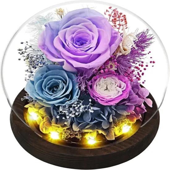 Gifts for Women, Flowers Delivery Prime, Roses in Glass Dome with LED Light - Gifts for Mom Grandma Her Girlfriend Wife {1}