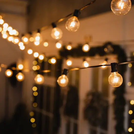 82-Foot Outdoor Light Hanging Kit with 2mm Vinyl-Coated Stainless Steel Rope and Mounting Hardware Silver {2}