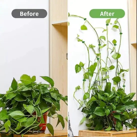30-Piece Plant Clips with Self-Adhesive Hooks for Wall Climbing Plants Support {2}