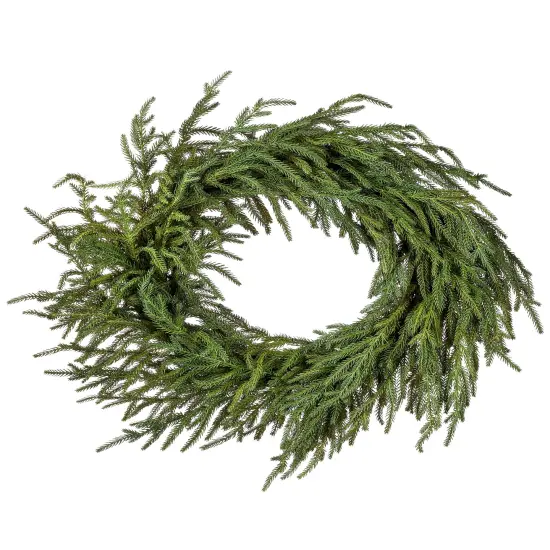 24" Garden Norfolk Pine Wreath - Natural Frost Touch {1}
