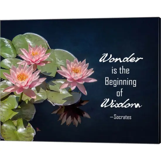 Wonder is the Beginning of Wisdom Water Lily Color by Quote Master 20" x 16" Canvas Wall Art {1}