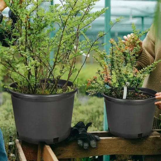 Squat Heavy Duty Premium Black Plastic Nursery Plant Container Garden Pot 2gal {4}