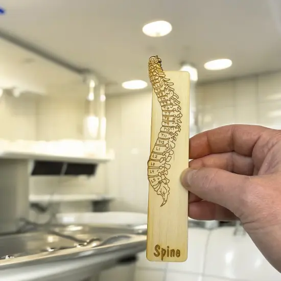 Bookmark - Spine Anatomy - Birch wood {5}