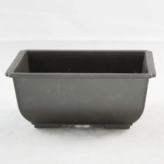 3 Rectangular Plastic Bonsai Training Pot, Succulent Planter 5.75"x 4.25"x 2.5" {2}