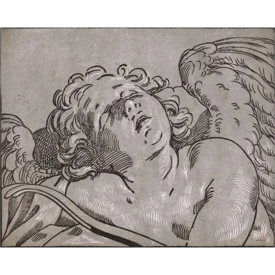 Cupid by Stellar Design Studio 20" x 16" Canvas Wall Art {2}