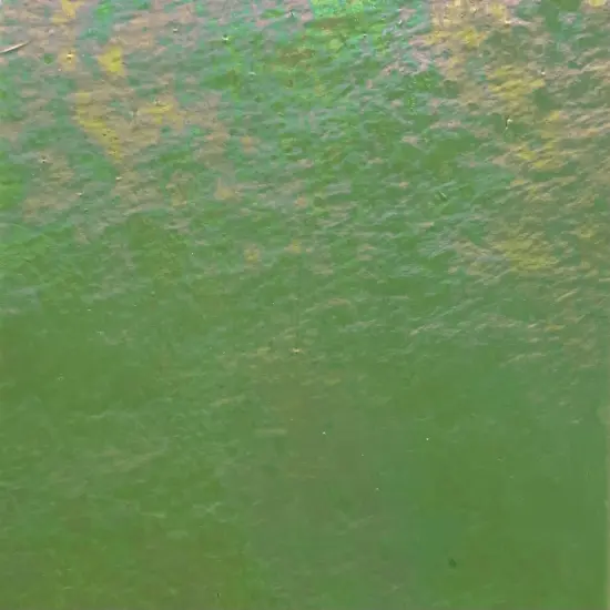 Olive Green Luminescent COE 96 Fusible Glass Sheets / Mosaic Squares - 2 Pack {4}