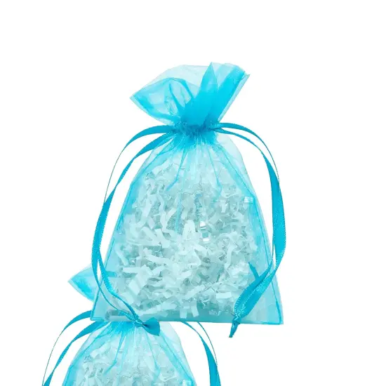 Sheer 4&rdquo; x 6&rdquo; Organza Bags Versatile for Favors {4}