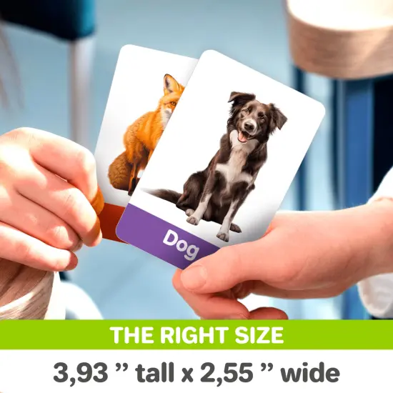 60 Realistic Learning Flash Cards for Kids | ABC, Numbers & Animals {3}