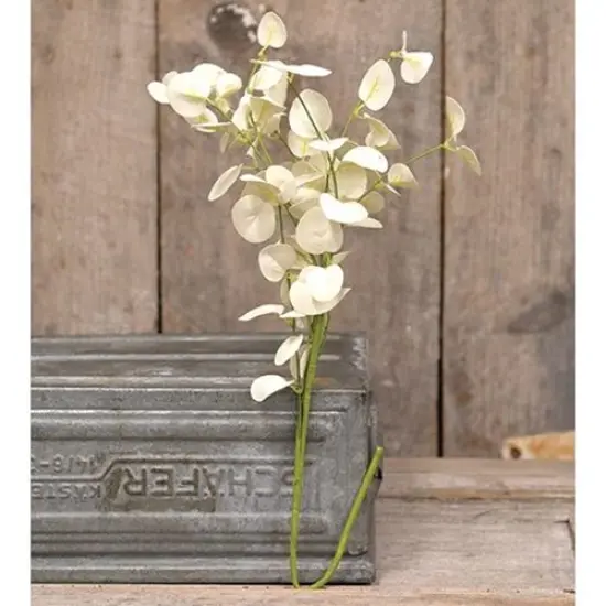 25&rdquo; Long Cream Foamy Silver Dollar Spray On Green Paper-Wrapped Stem {2}