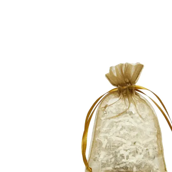 Sheer Organza Gift Bags 5&rdquo; x 8&rdquo; for Special Occasions {4}