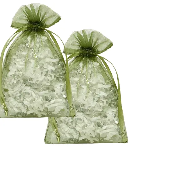 2&rdquo; x 3&rdquo; Organza Bags Perfect for Candies and Treats {6}