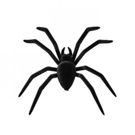 8" Black Flocked Spider {1}