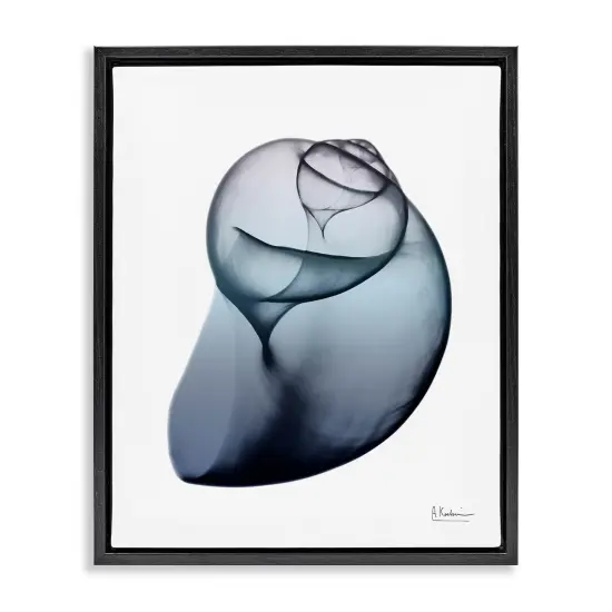 Stupell Industries Contemporary Snail Shell Framed Floater Canvas Wall Art Gray Floater Frame {7}
