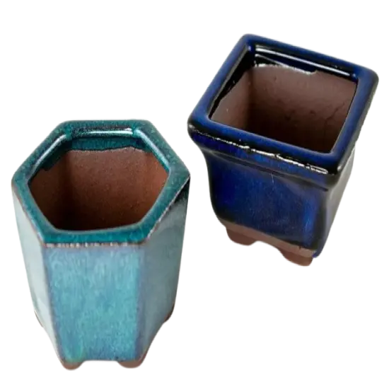 2 Mix Mini Mame Shohin Bonsai Pot, Cactus & Succulent Planter, Accent Plant Vase {1}