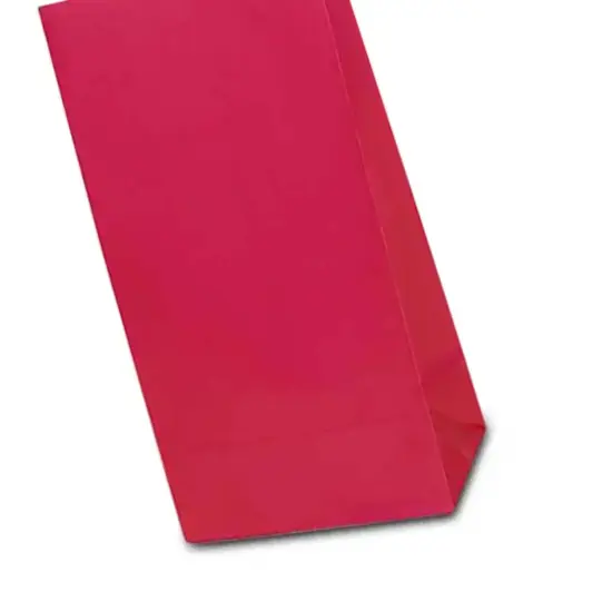 Colored Paper Gift Bags 5'' x 3 1/8'' x 9 5/8'' Design {6}