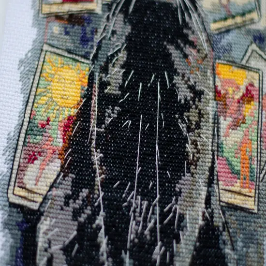 Counted Cross stitch kit - Premonition. Black Cat {3}