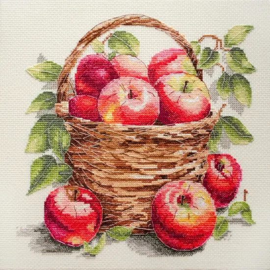 Counted Cross-stitch kit - Bulk apples {1}