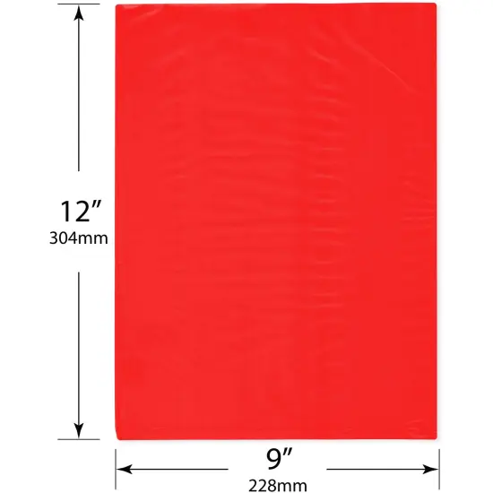Plymor 9" x 12", Red 2 Mil Flat Open Plastic Poly Bags {3}