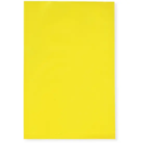 Plymor 4" x 6", Yellow 2 Mil Flat Open Plastic Poly Bags {1}