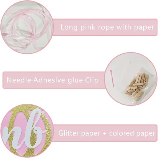 Pumpkin 1st Birthday Photo Banner, Glitter Pumpkin -12 Month Photo Display for Pumpkin {5}