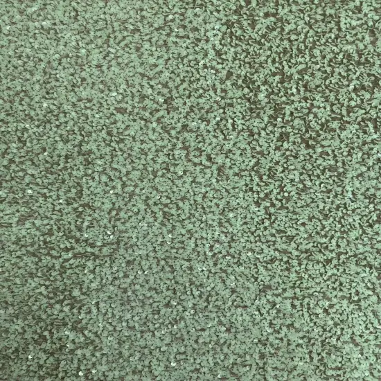 1 Yard Sequins Embroidered Stretch Velvet Rodeo Fabric Mint Green {1}