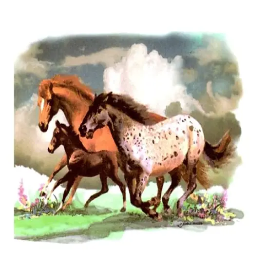 Wild Horses Edible Icing Image for 1/4 sheet cake {1}
