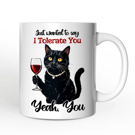 Just Wanted to Say I Tolerate You Mug, Funny Sarcastic Black Cat Lover Gift {4}