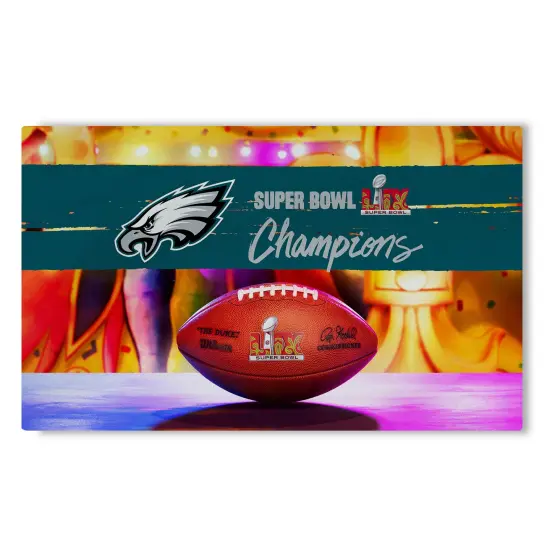 NFL Philadelphia Eagles 2025 Super Bowl LIX Parade Washable Rug 36X62 Inches {1}