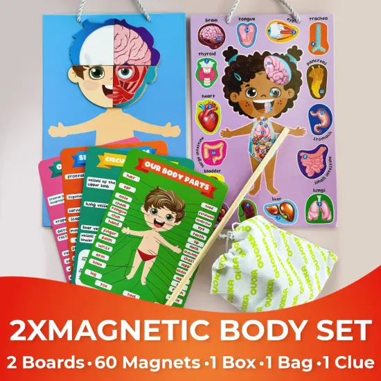 Magnetic Montessori Puzzles for Kids | Anatomy {2}