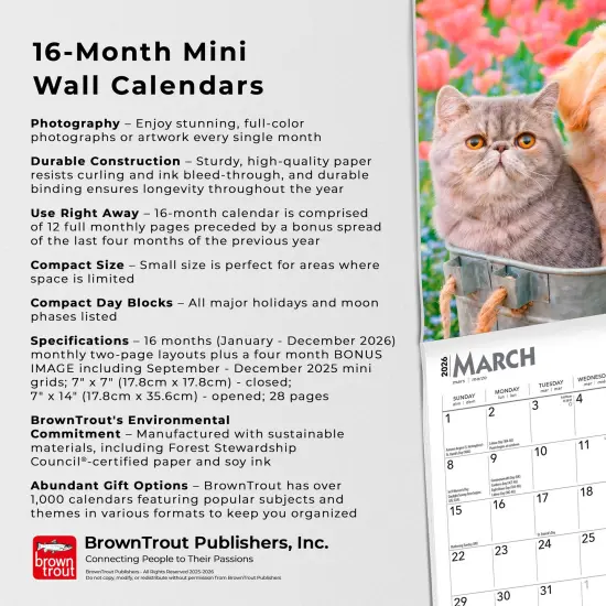 Kittens & Puppies | 2026 7 x 14 Inch (Hanging) Monthly Mini Wall Calendar {6}