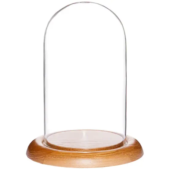 Plymor 4" x 7" Glass Display Dome Cloche Oak {1}