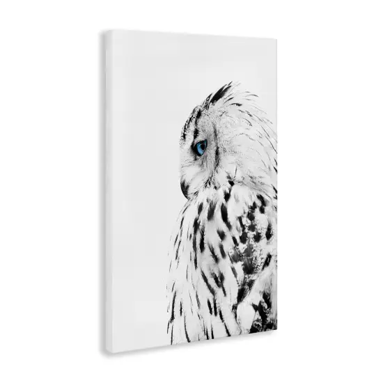 Stupell Industries Owl with Strong Blue Gaze Canvas Wall Art Design by Design Fabrikken {3}