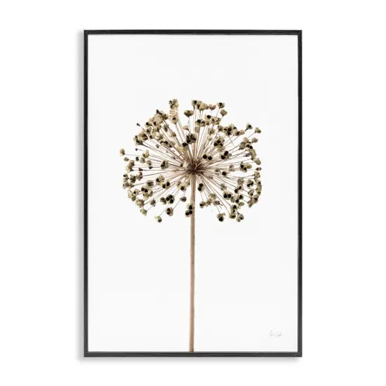 Stupell Industries Minimal Allium Bud Framed Giclee Wall Art Design by Deborah Revell {1}