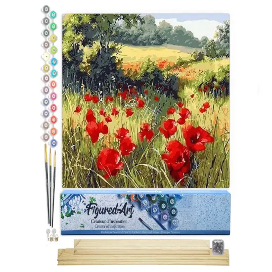 Figured'Art Paint by Numbers Kit for Adults Field of Poppies in the countryside 16"x20" - Craft Art Painting Rolled Canvas with DIY wooden frame {1}