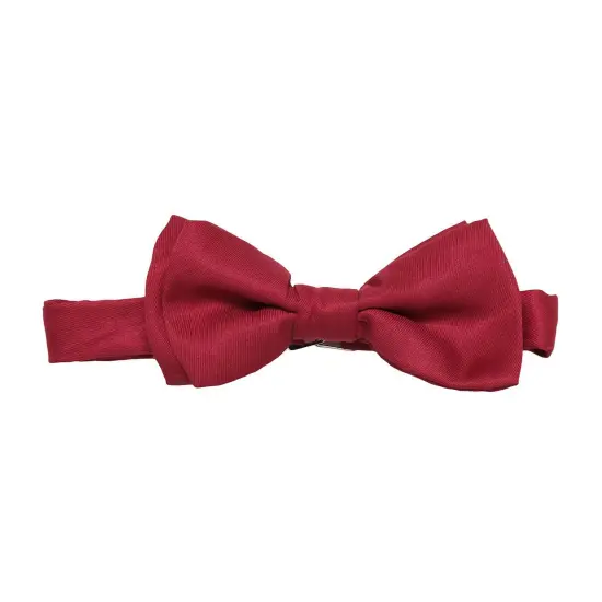 Doctor Who 11th Doctor Bow Tie Costume Accessory {1}