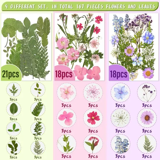 167 Pcs Real Dried Pressed Flowers {3}