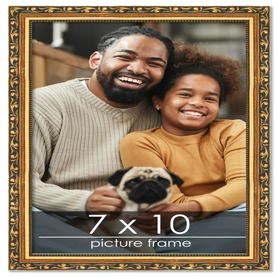 7x10 Museum-Quality Picture Frame with UV-Resistant Acrylic & Acid-Free Backing, Available in 4 Finishes - Gold, Silver, Bronze, and Black {1}
