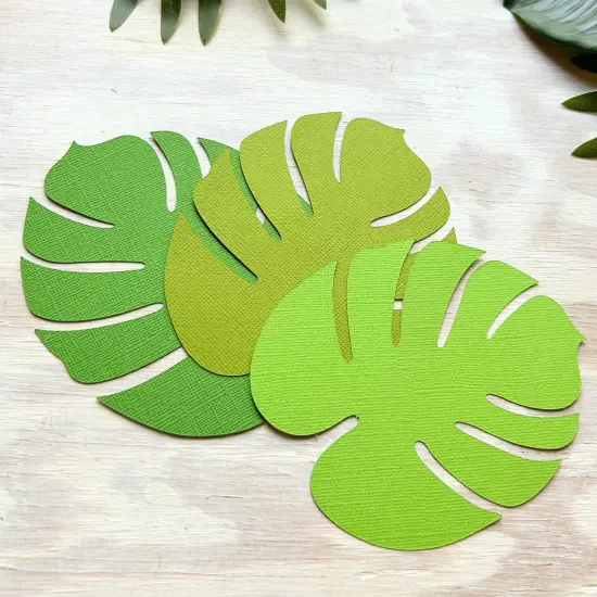 GRASSHOPPER - Textured 12x12 Cardstock - Encore Paper {5}