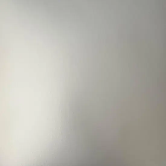 SILVER Matte Foil Cardstock - 12x12 Foil Cardstock - Encore {1}