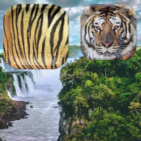 Tiger Theme Party Pack for 24 Guests! Photo-Realistic Tiger Supplies for a Roaring Good Birthday, Football, or any Big Cat Event! Includes 24 Dinner Plates & 24 Side Plates {5}