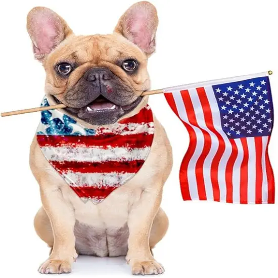 Patriotic Bandanas American Flag Bandana July 4th Headband Memorial Day Decorations Bandana for Women Men {4}