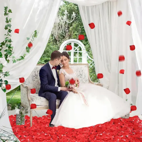 3000 PCS Dark Red Artificial Silk Rose Petals for Romantic Night, Wedding, Party, Anniversary Flower Decorations {3}