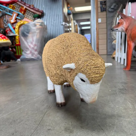 Baby Merino Ewe Head Down Life Size Statue {5}